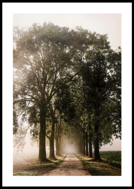 Morning Road Poster