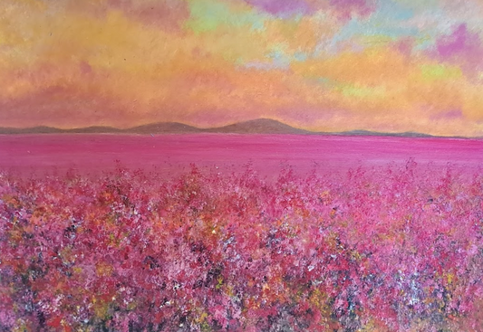 Pink Fields